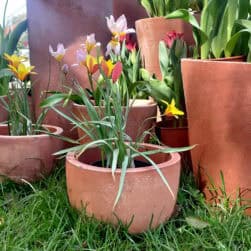 Bulb. Handcrafted Impruneta clay pot, wind-stable, plantable, frost-proof. Available in sizes 40–70 cm. Also in anthracite grey GrigioLava.