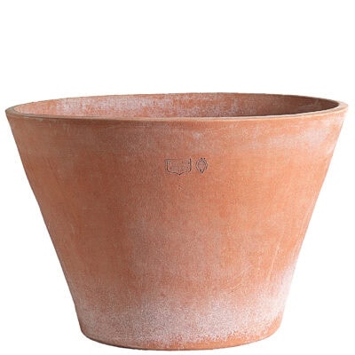 Guscio. vaso per piante.