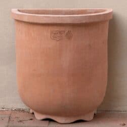 Smooth Wall Planter in Impruneta Terracotta with Integrated Scalloped Feet for Proper Water Drainage, Decorated with Colorful Climbing Plants.