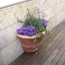 Wall pot with borders in Impruneta terracotta, ideal for terraces and decorative corners. Elegant, durable, perfect for blooms and climbing plants.