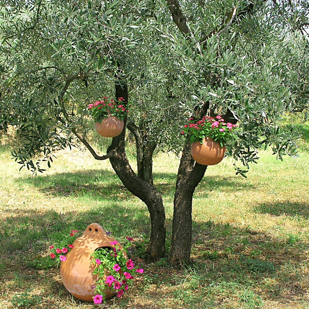 Spherical-shaped hanging pot with three oval holes for planting colored blooms or falling plants. Can be hung on tree branches, pergolas or canopies.