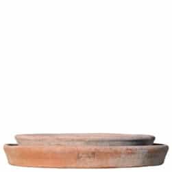 Formicaio in terracotta di Impruneta, piattino sottovaso per agrumi e limoni
