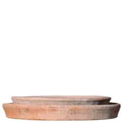 Formicaio in terracotta di Impruneta, piattino sottovaso per agrumi e limoni