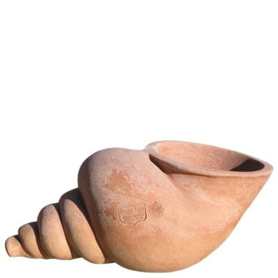 Conchiglia. Statua classica. Realizzato in unica dimensione. Modellazione realizzata in alto rilievo. Realizzato a mano da maestri artigiani con argilla di Impruneta, resistente al gelo. Con il trascorrere delle stagioni acquista un bell'aspetto superficiale.