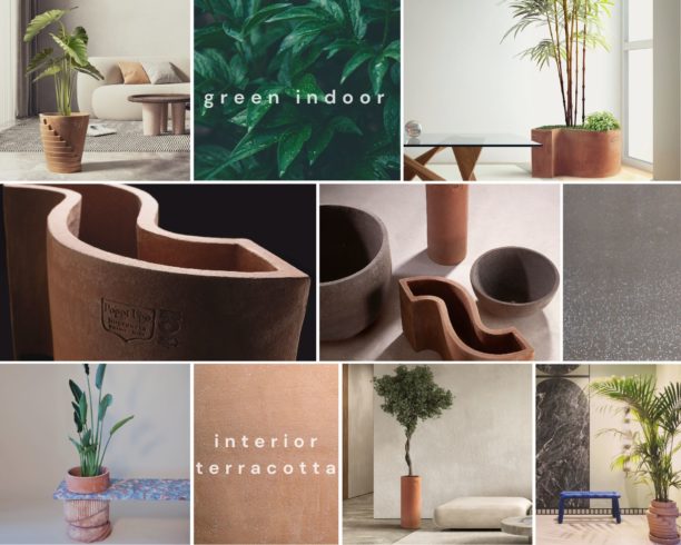piante indoor e vasi in terracotta