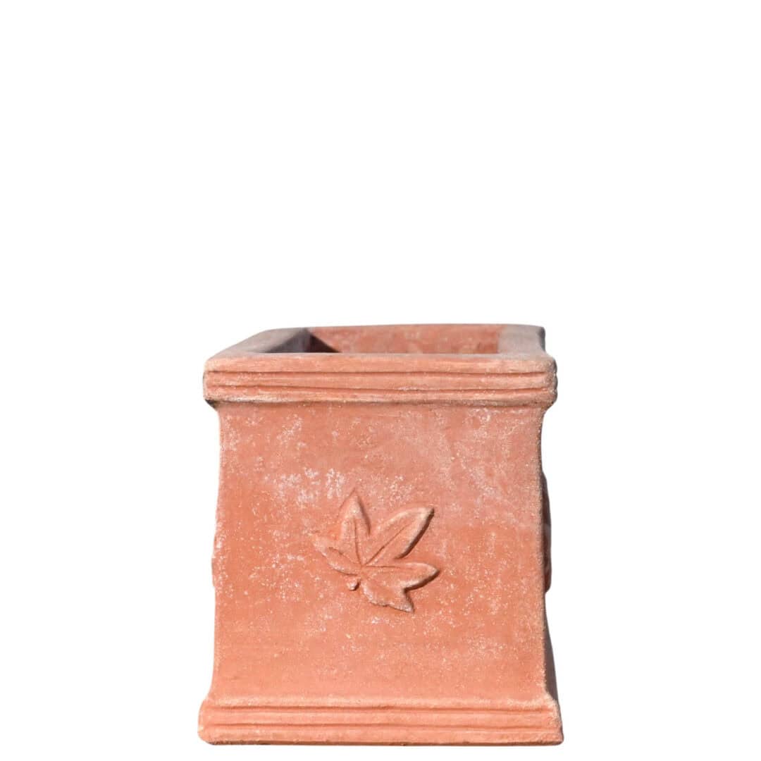 Rectangular terracotta planter box with three ivy leaves in relief on the front.