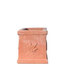 Rectangular terracotta planter box with three ivy leaves in relief on the front.
