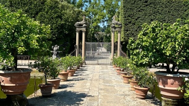 Vasi in terracotta con agrumi antichi risalenti ai Medici in fila nell'Isolotto all'interno del giardino di Boboli