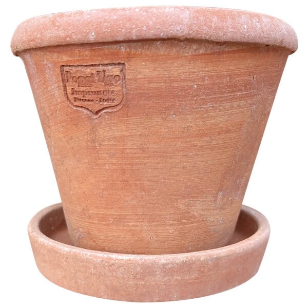 Small terracotta cone with decorative raised rim for succulents, herbs, or small plants.