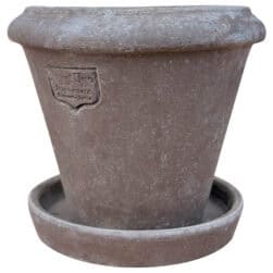 Small terracotta cone with decorative raised rim for succulents, herbs, or small plants.