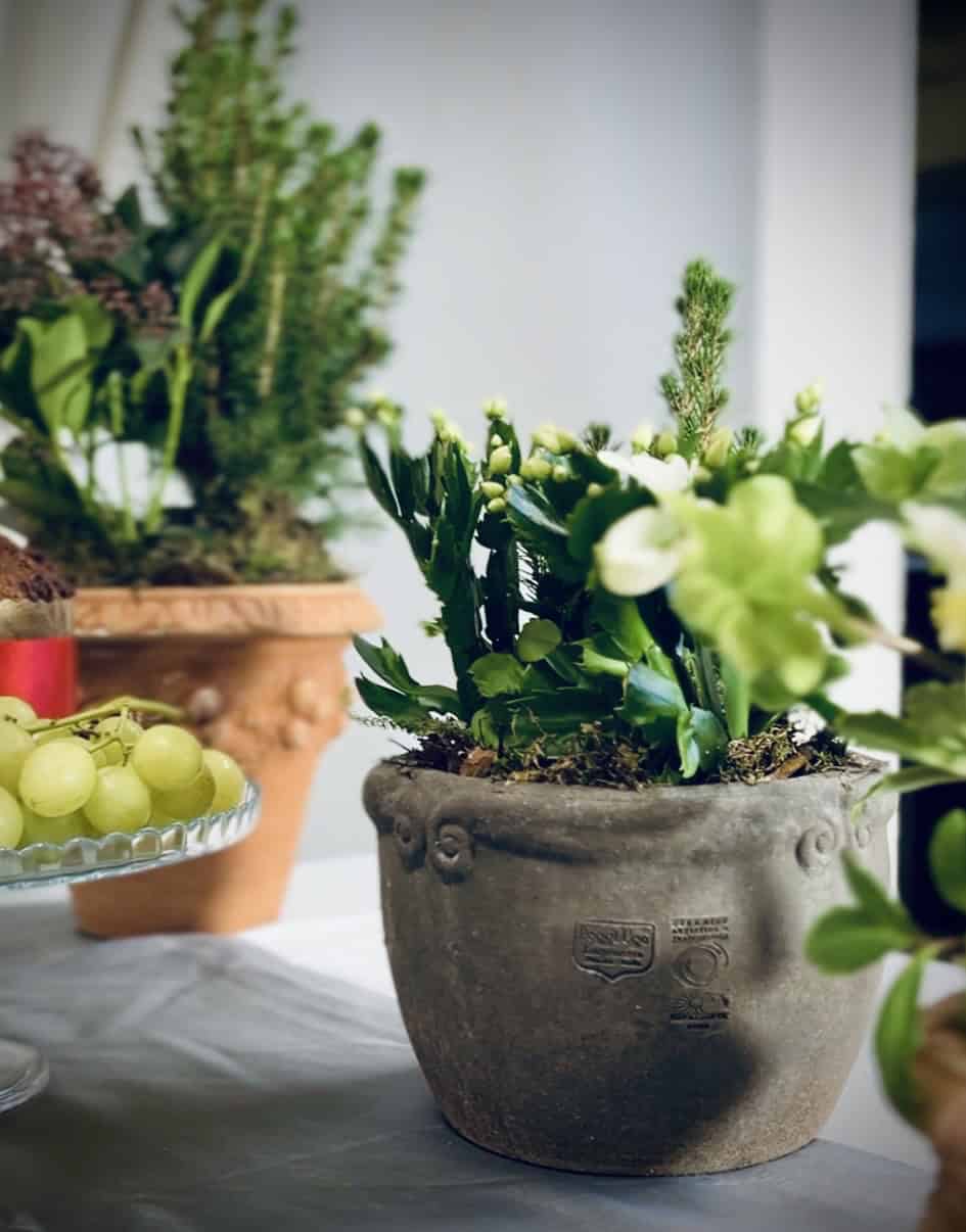 Vaso in terracotta grigiolava con ricciolini in rilievo